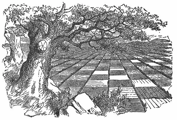 Chess Board Countryside in Through the Looking-Glass