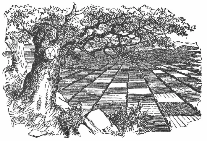Framed Print : Chess Board Countryside in Through the Looking-Glass Framed Print : Chess Board Countryside in Through the Looking-Glass