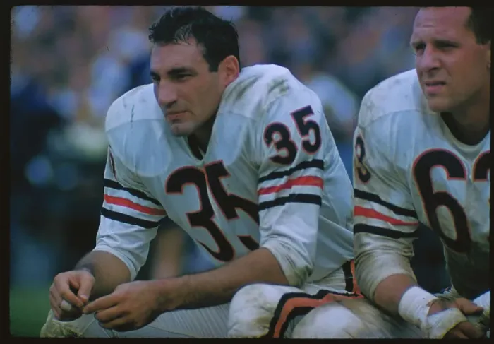 Framed Print : Chicago Bear's Rick Cazeres on the Sidelines Framed Print : Chicago Bear's Rick Cazeres on the Sidelines