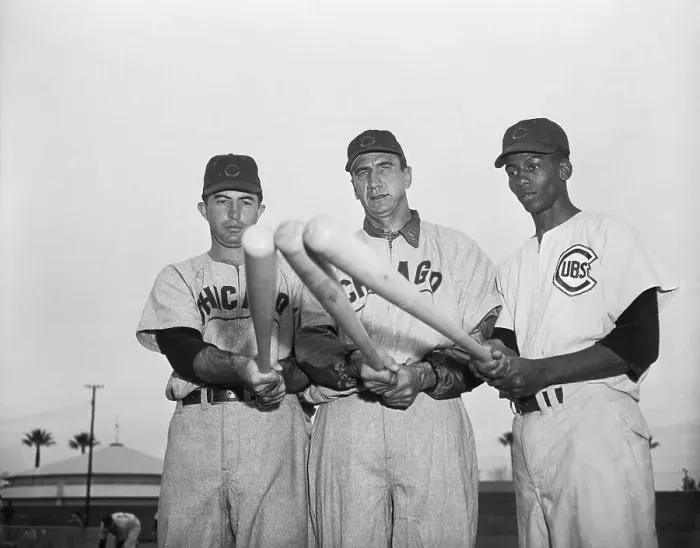 Framed Print : Three Chicago Cubs Holding Bats Framed Print : Three Chicago Cubs Holding Bats