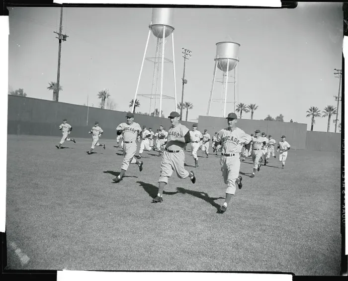Framed Print : Chicago Cubs Running Framed Print : Chicago Cubs Running