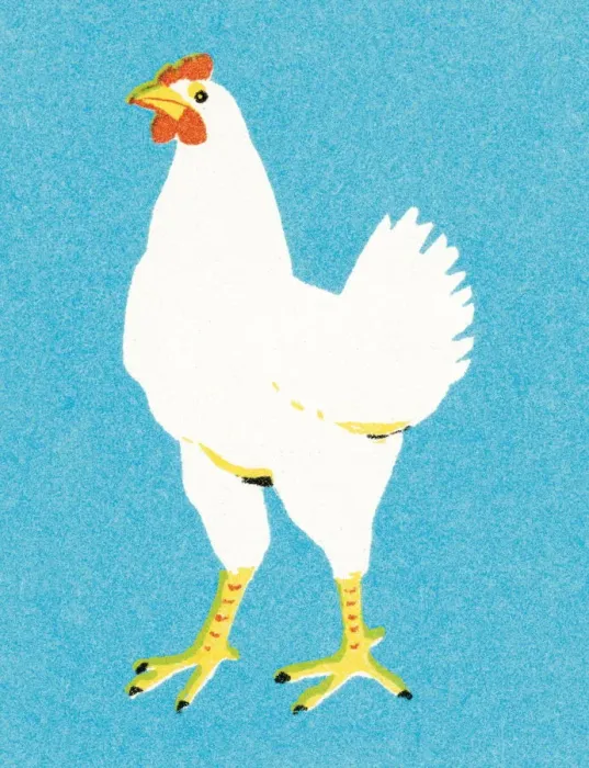 Framed Print : Chicken. http: / / csaimages.com / images / istockprofile / csa_vector_dsp.jpg Framed Print : Chicken. http: / / csaimages.com / images / istockprofile / csa_vector_dsp.jpg