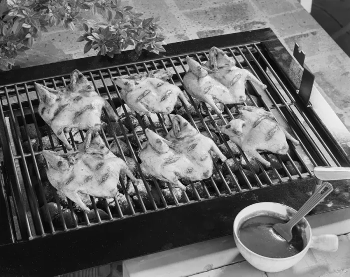 Framed Print : Chicken on barbecue grill Framed Print : Chicken on barbecue grill