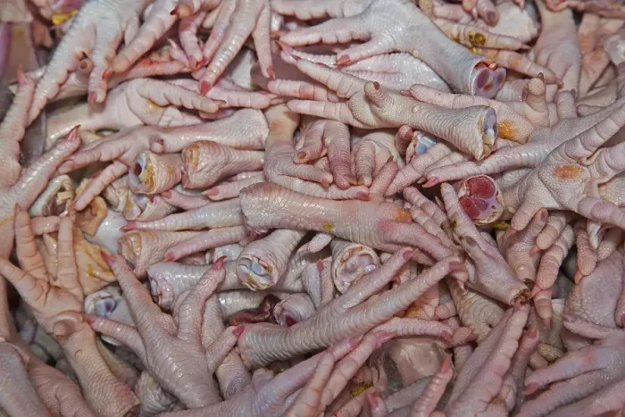 Framed Print : Chicken feet for sale at a market in Chiang Mai, Chiang Mai, Northern Thailand, Thailand Framed Print : Chicken feet for sale at a market in Chiang Mai, Chiang Mai, Northern Thailand, Thailand