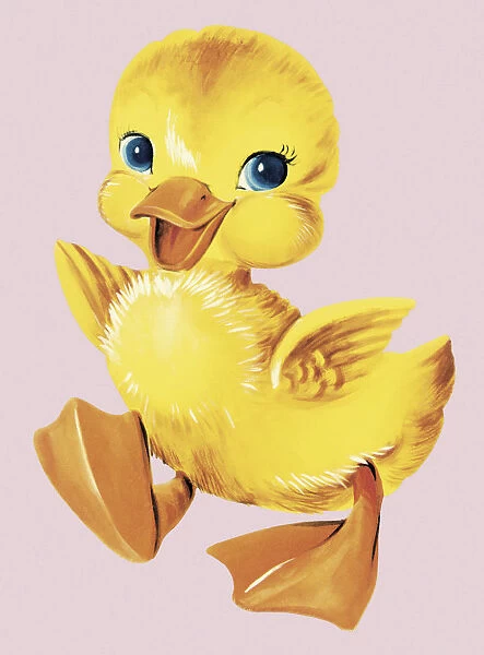 Chicks. http: /  / csaimages.com / images / istockprofile / csa_vector_dsp.jpg