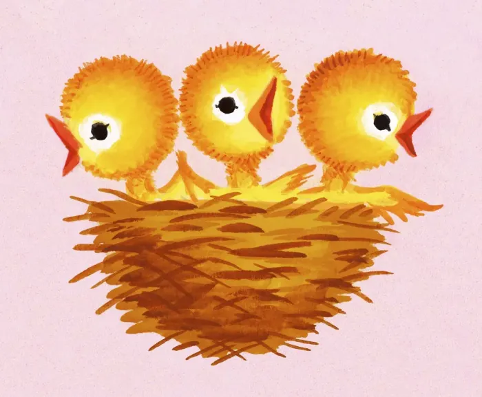Framed Print : Three Chicks in a Nest Framed Print : Three Chicks in a Nest