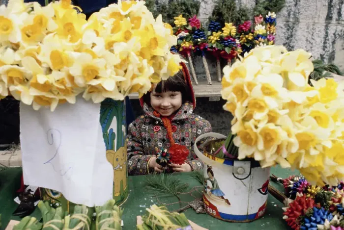 Framed Print : Child At Flower Stall Framed Print : Child At Flower Stall