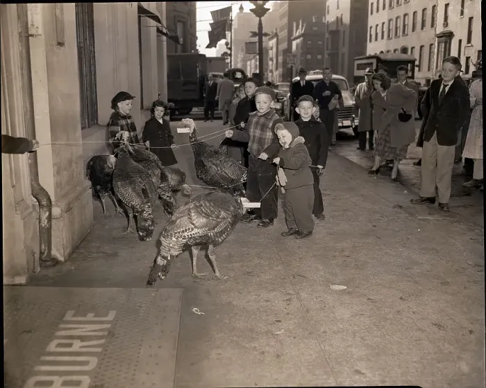 Framed Print : Child Pulling Turkey on Leash Framed Print : Child Pulling Turkey on Leash