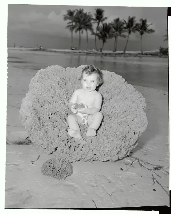 Framed Print : Child Reclining in Large Sponge Found in Florida Waters Framed Print : Child Reclining in Large Sponge Found in Florida Waters