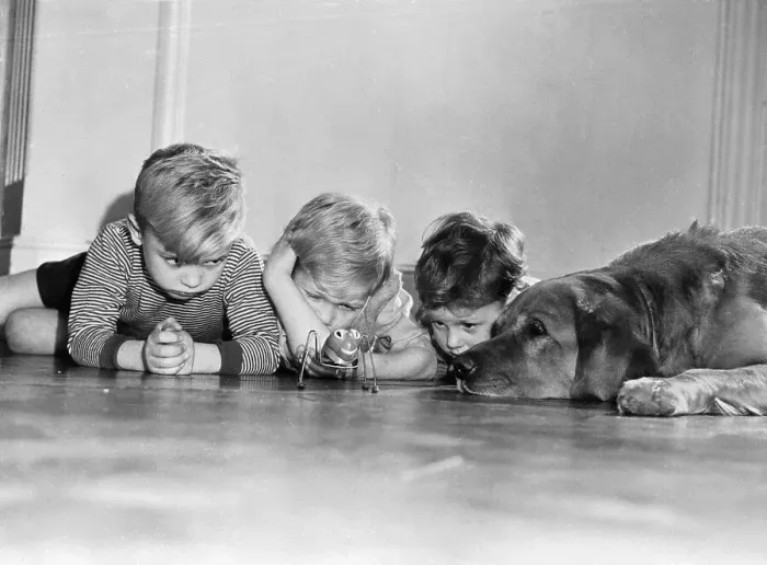 Framed Print : Children (4-5) Watching Mechanical Spider