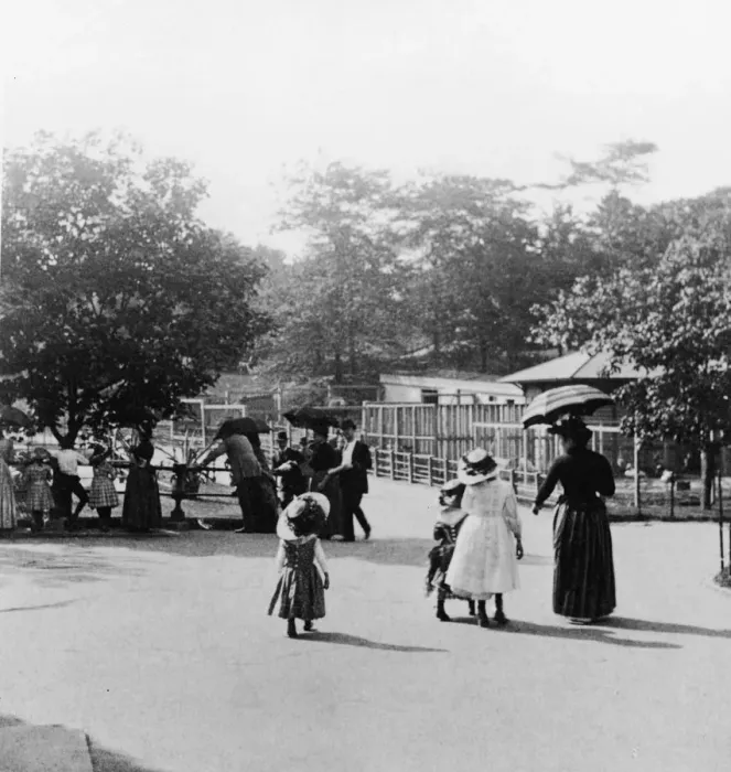 Framed Print : Children At Central Park Zoo Framed Print : Children At Central Park Zoo