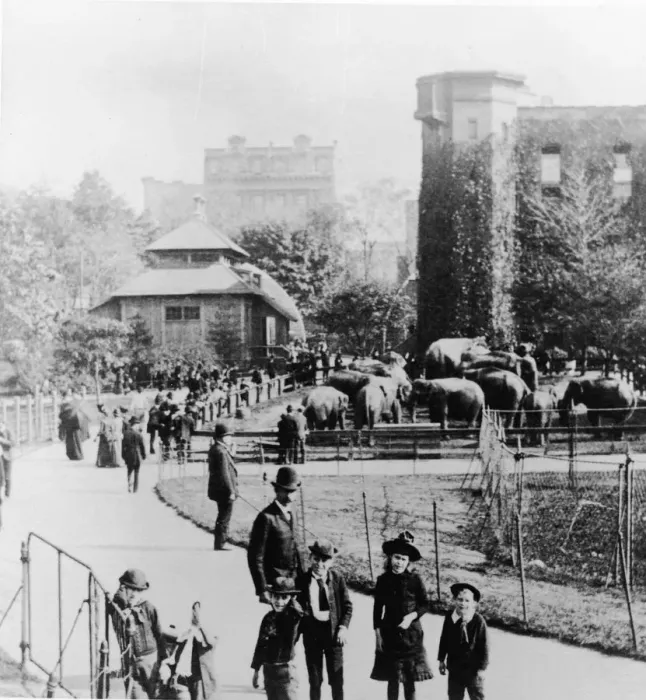 Framed Print : Children In Central Park Zoo Framed Print : Children In Central Park Zoo