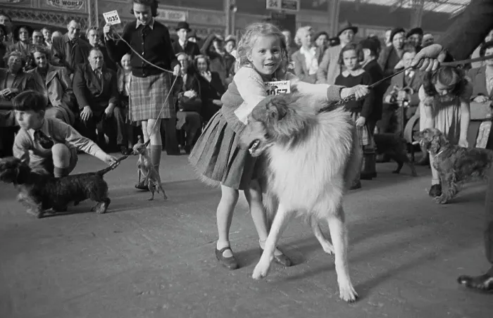 Framed Print : Children At Crufts Framed Print : Children At Crufts