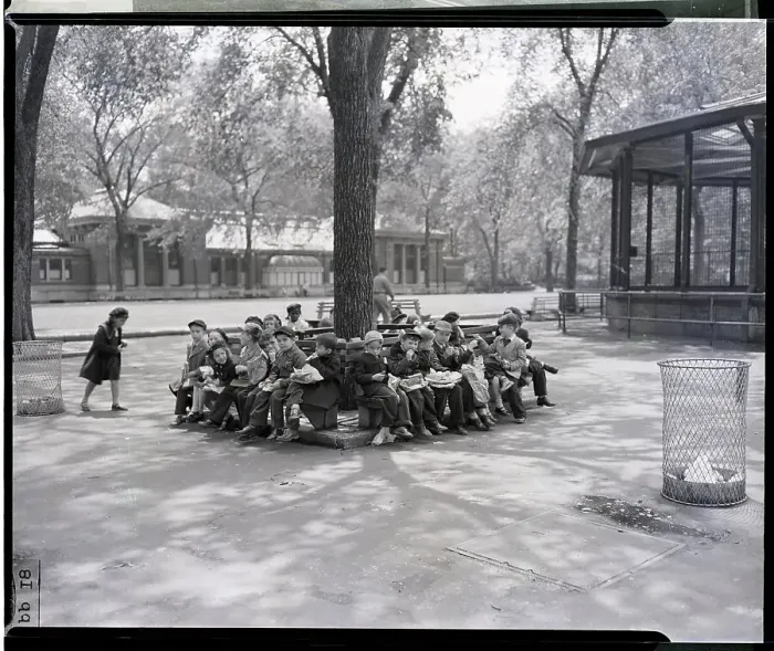 Framed Print : Children Eating Under Tree at Zoo Framed Print : Children Eating Under Tree at Zoo