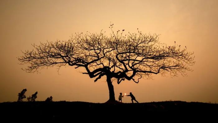 Framed Print : Children playing under lonely tree Framed Print : Children playing under lonely tree