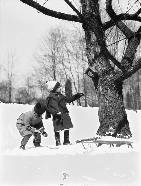 Two children pulling sled, looking up birdhouse in tree, winter