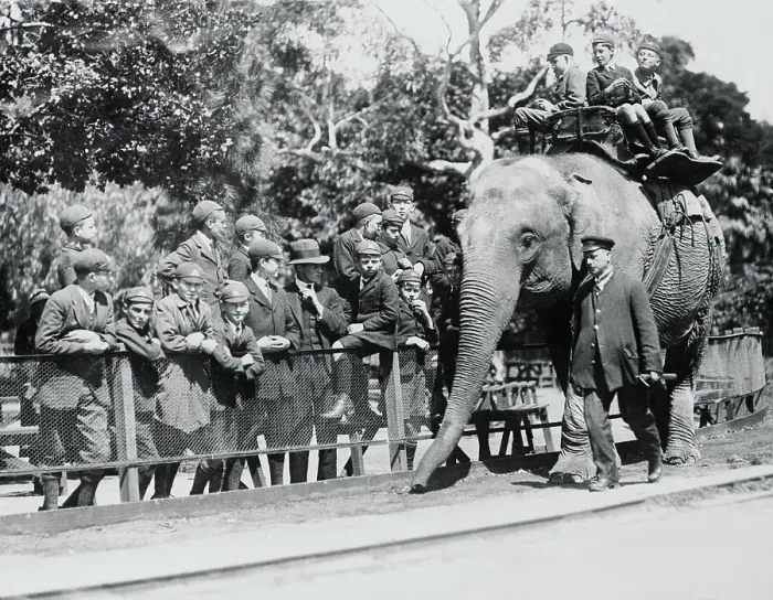 Framed Print : Children Riding on an Elephant