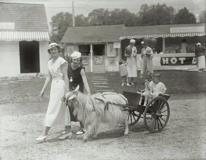 Framed Print : Children Riding in Goat Cart Framed Print : Children Riding in Goat Cart