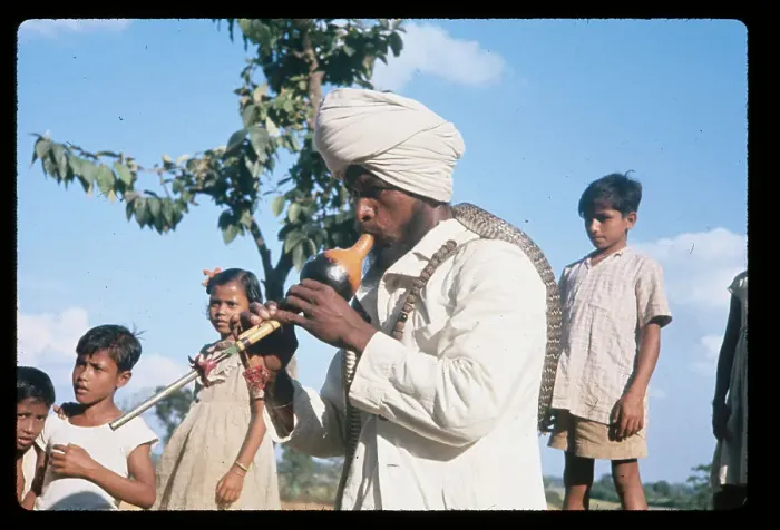 Framed Print : Children and Snake Charmer Near Tree
