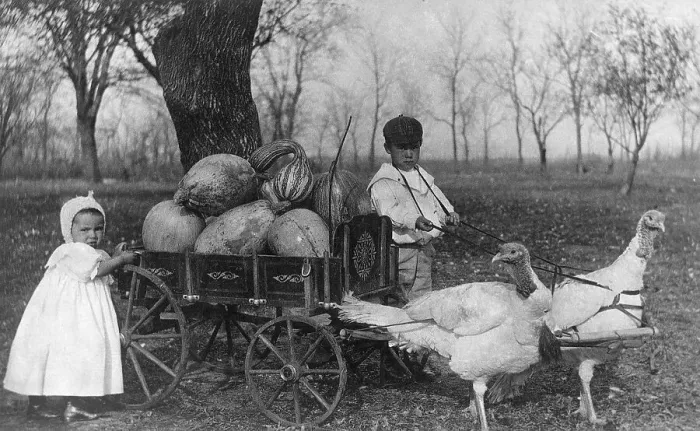 Framed Print : Children with Turkey Pulled Wagon Framed Print : Children with Turkey Pulled Wagon