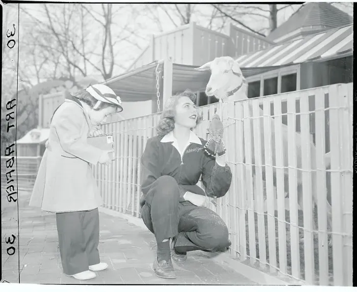 Framed Print : Children's Zoon, Bronx Park Framed Print : Children's Zoon, Bronx Park