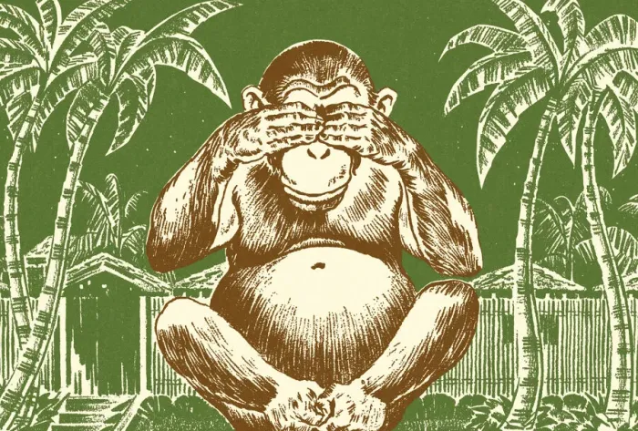 Framed Print : Chimpanzee Covering Its Eyes Framed Print : Chimpanzee Covering Its Eyes