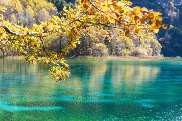Framed Print : China Tourism Scenic Area - Jiuzhaigou Framed Print : China Tourism Scenic Area - Jiuzhaigou