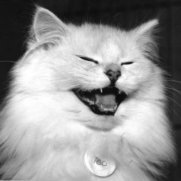 Fine Art Storehouse Awesome Wall Art