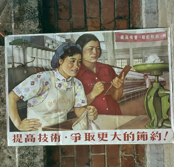 Framed Print : Chinese Cotton Framed Print : Chinese Cotton
