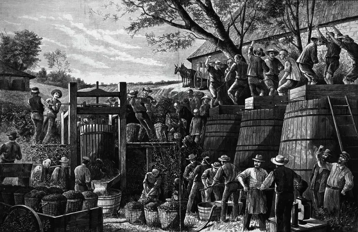Framed Print : Chinese Laborer Pressing Grapes Framed Print : Chinese Laborer Pressing Grapes