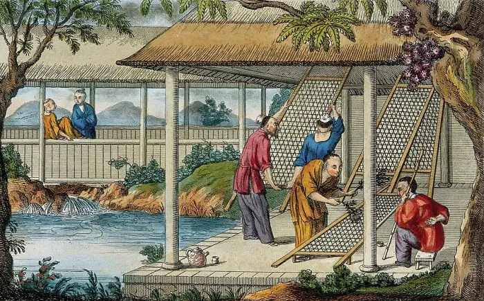 Framed Print : A Chinese tea plantation with workers cleaning the racks on which the leaves are placed to dry, 1810, China, Historic, digitally restored reproduction from a 19th century original Framed Print : A Chinese tea plantation with workers cleaning the racks on which the leaves are placed to dry, 1810, China, Historic, digitally restored reproduction from a 19th century original