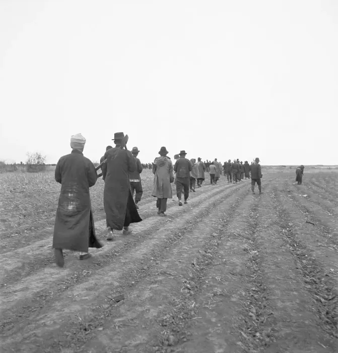 Framed Print : Chinese Walking Across Cultivated Field Framed Print : Chinese Walking Across Cultivated Field