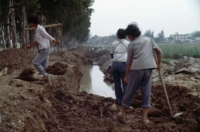 Framed Print : Chinese Workers Digging A Ditch Framed Print : Chinese Workers Digging A Ditch