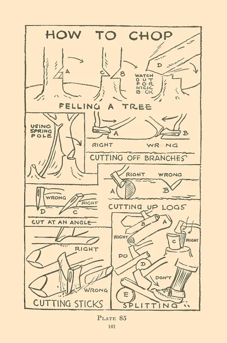 Framed Print : How to Chop Framed Print : How to Chop