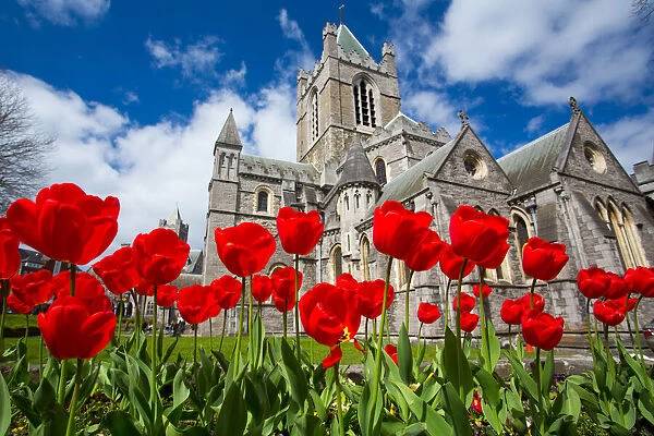 Christchurch Cathedral, Dublin City