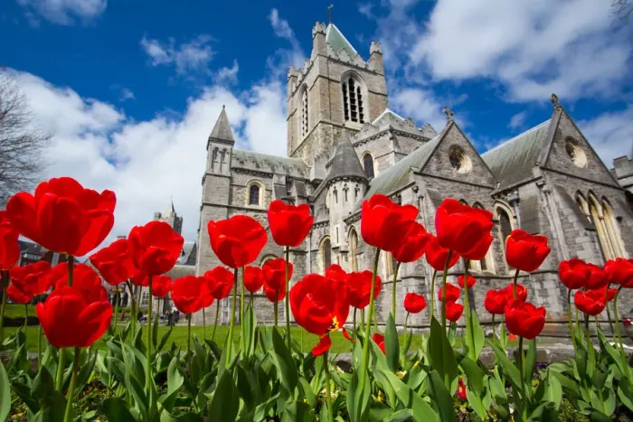Framed Print : Christchurch Cathedral, Dublin City Framed Print : Christchurch Cathedral, Dublin City