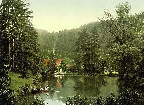 Christianental Game Park near Wernigerode in the Harz Mountains, Saxony-Anhalt, Germany, Historic, digitally restored reproduction of a photochromic print from the 1890s