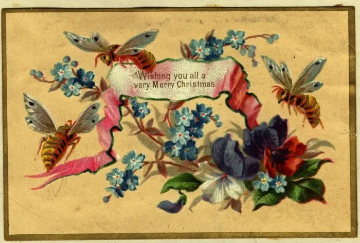Framed Print : Christmas Bees Framed Print : Christmas Bees