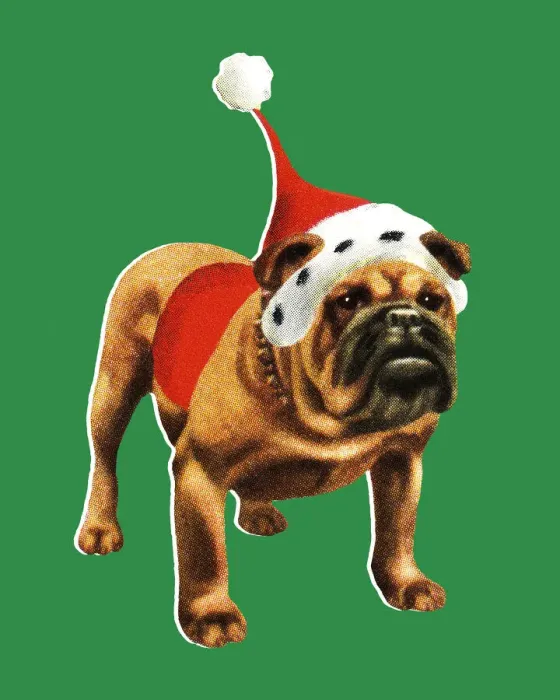 Framed Print : Christmas Bulldog Framed Print : Christmas Bulldog