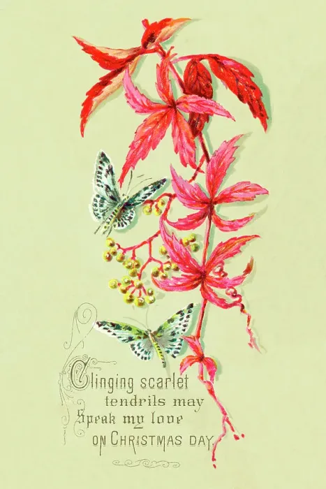 Framed Print : Christmas Card with Butterflies and Scarlet Elder Framed Print : Christmas Card with Butterflies and Scarlet Elder