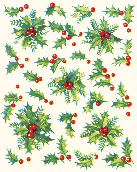 Christmas Holly Pattern