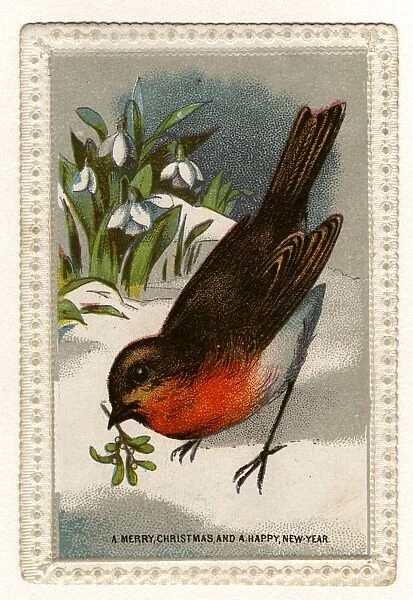 Christmas Robin
