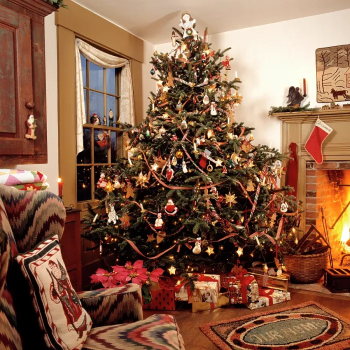 Framed Print : Christmas Tree Framed Print : Christmas Tree