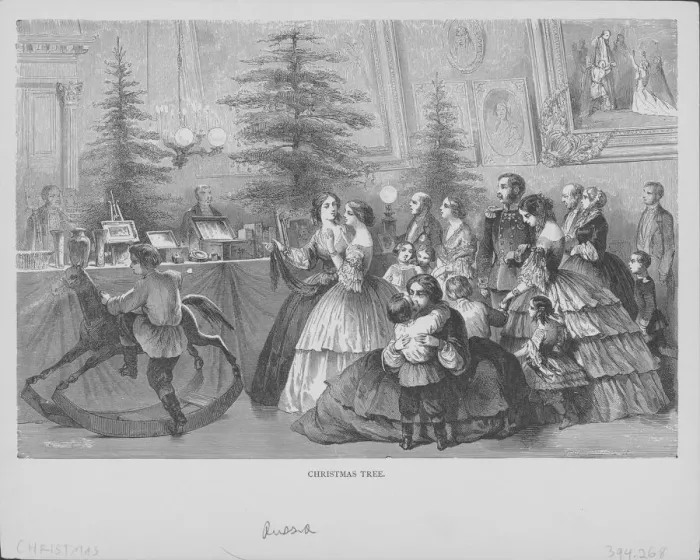 Framed Print : Christmas Tree Celebrations Framed Print : Christmas Tree Celebrations