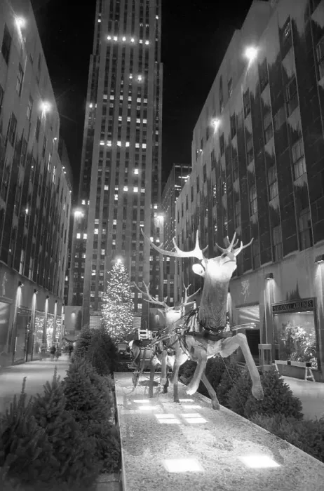 Framed Print : Christmas Tree at Rockefeller Center Framed Print : Christmas Tree at Rockefeller Center