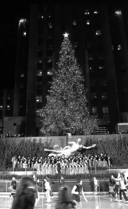 Framed Print : Christmas Tree at Rockefeller Center