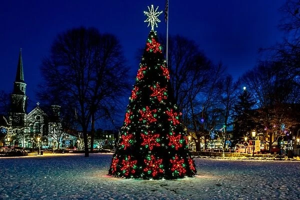 Christmas tree in town square at night