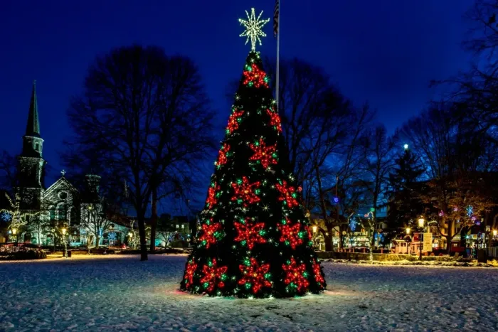 Framed Print : Christmas tree in town square at night Framed Print : Christmas tree in town square at night