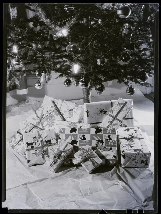 Framed Print : Christmass Tree And Presents Under It Framed Print : Christmass Tree And Presents Under It