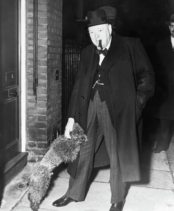 Framed Print : Churchill Being Greeted By Poodle Framed Print : Churchill Being Greeted By Poodle